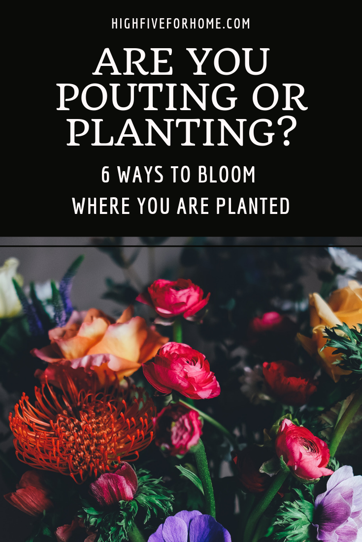 Are You Pouting or Planting? Part 2