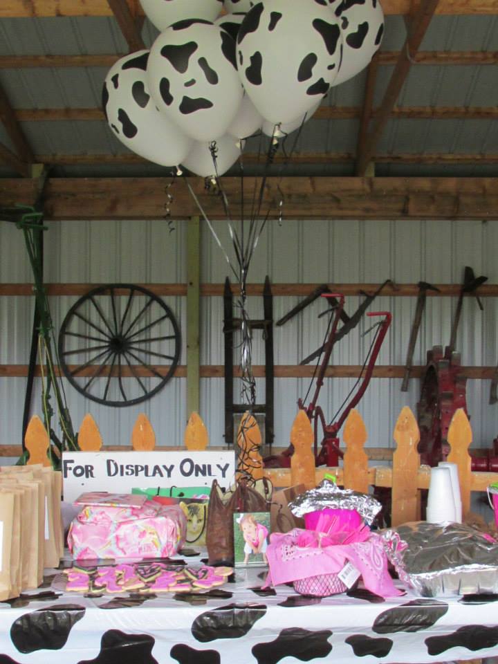 Farm themed birthday party