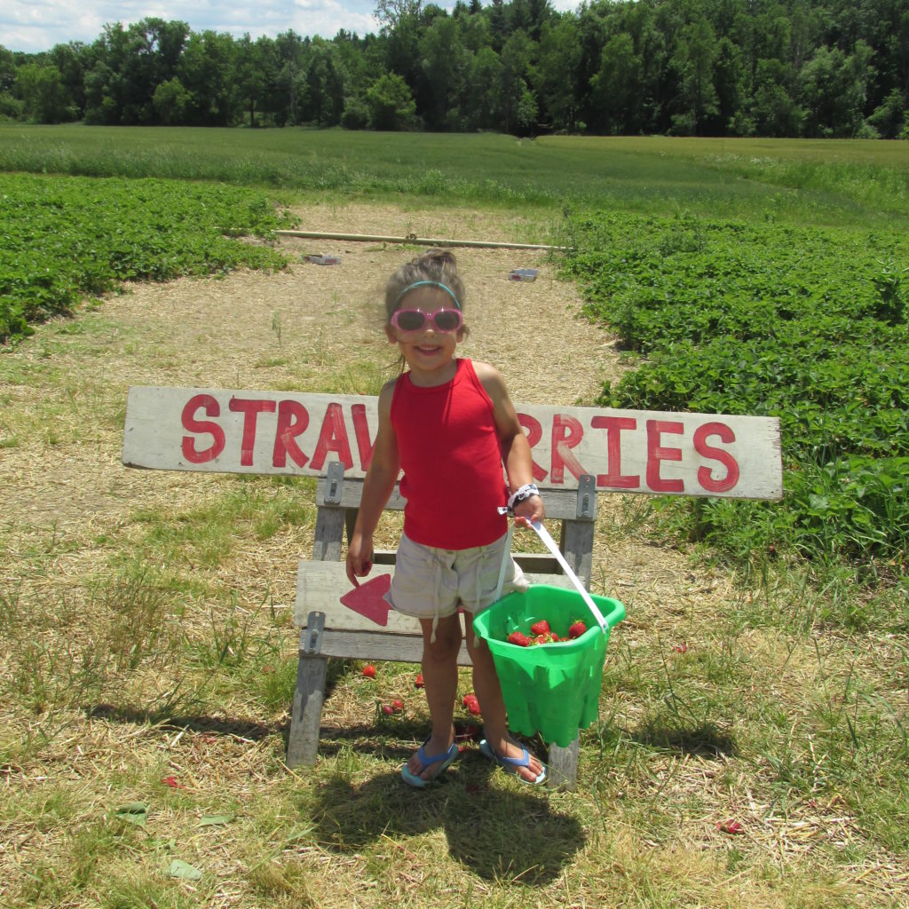 Soul Soothing Strawberry Fields Forever/How Picking Strawberries Picked Up My Summer Spirits