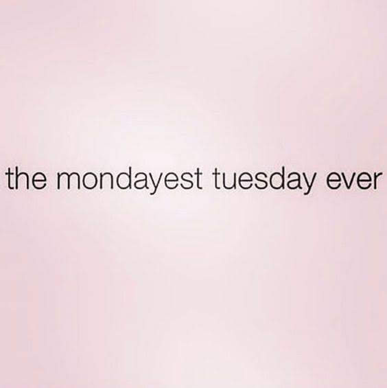 Tuesdays